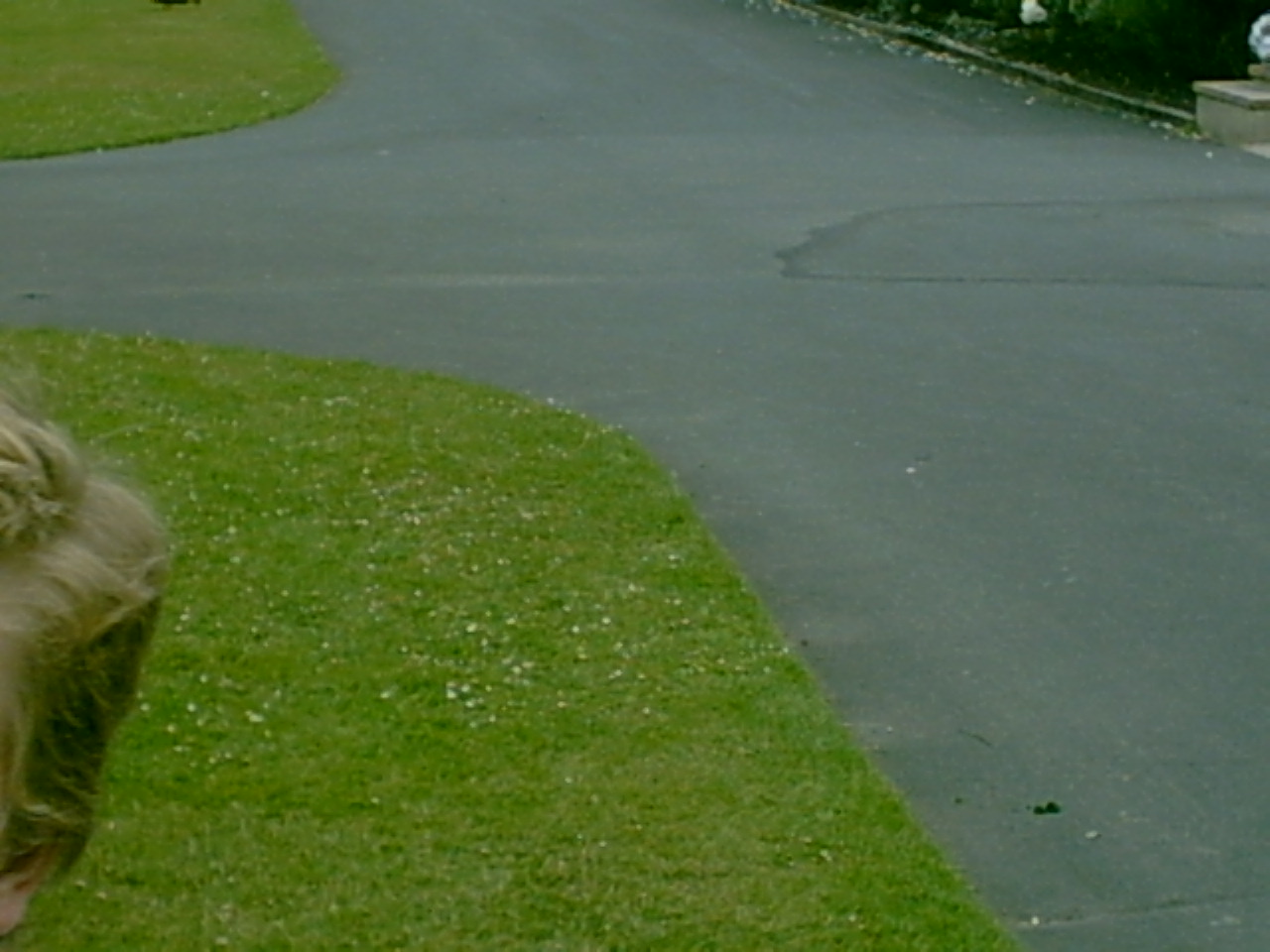 Kiesanowski and Kerdemelidis wedding trip/3_Garden_Photos/IMG00022.JPG